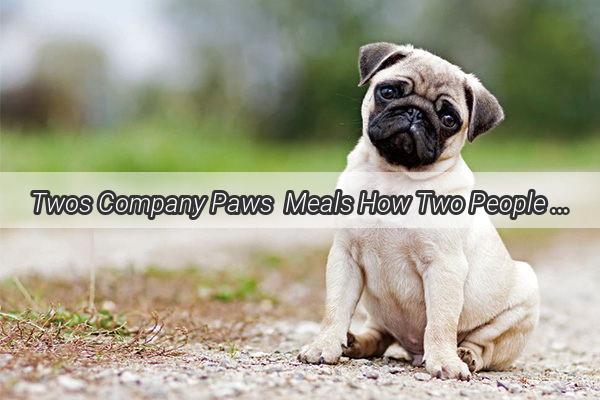 Twos Company Paws  Meals How Two People Can Raise a Tasty Canine